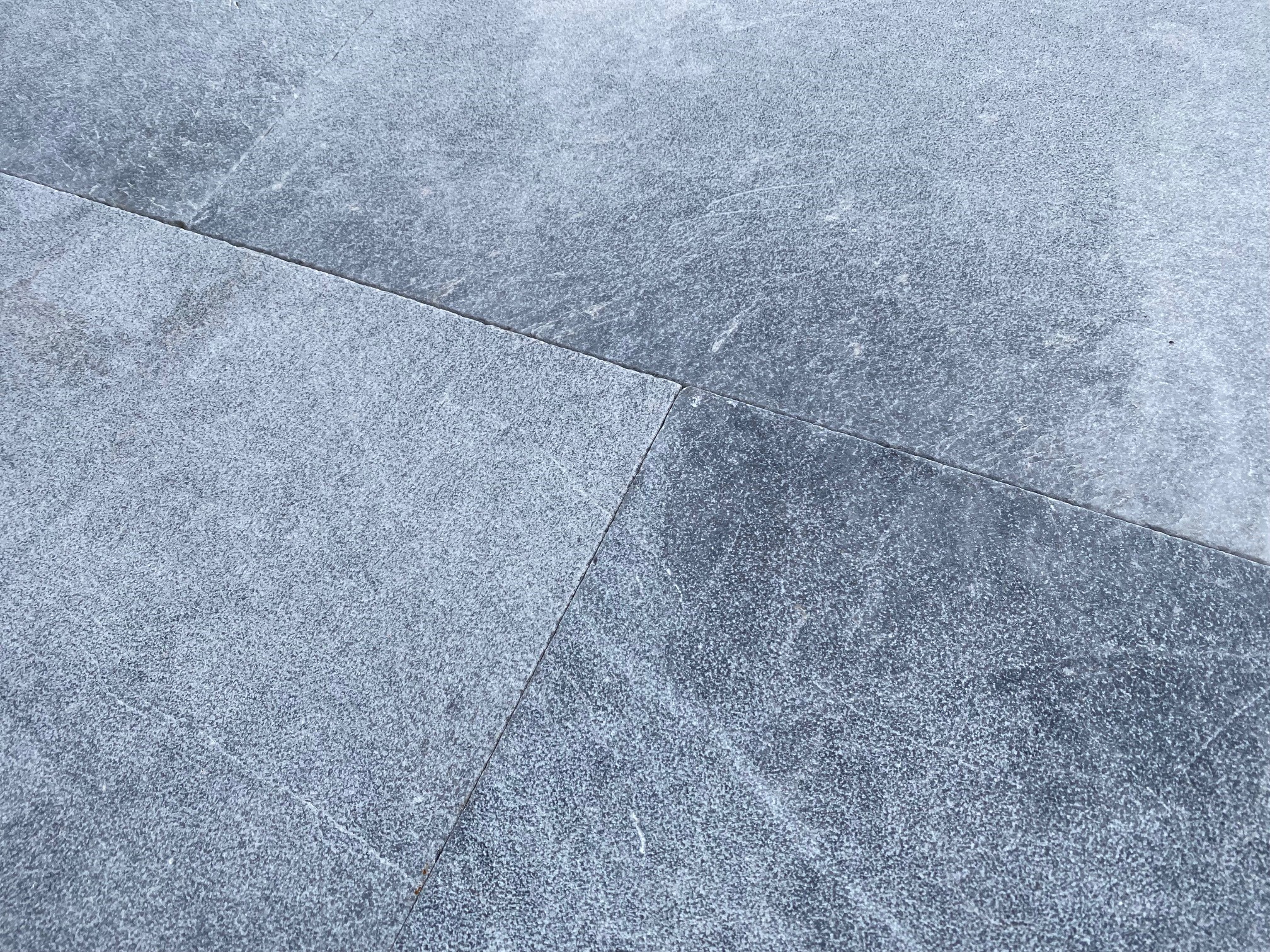 IMG 5559