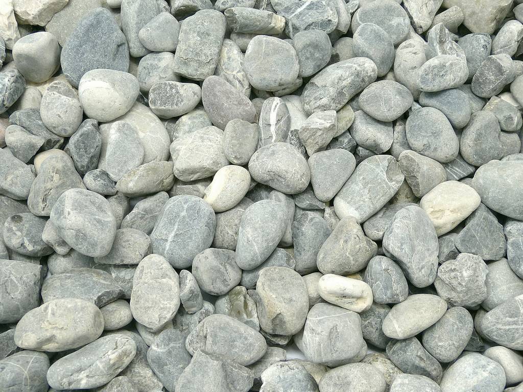 Alpenkies 