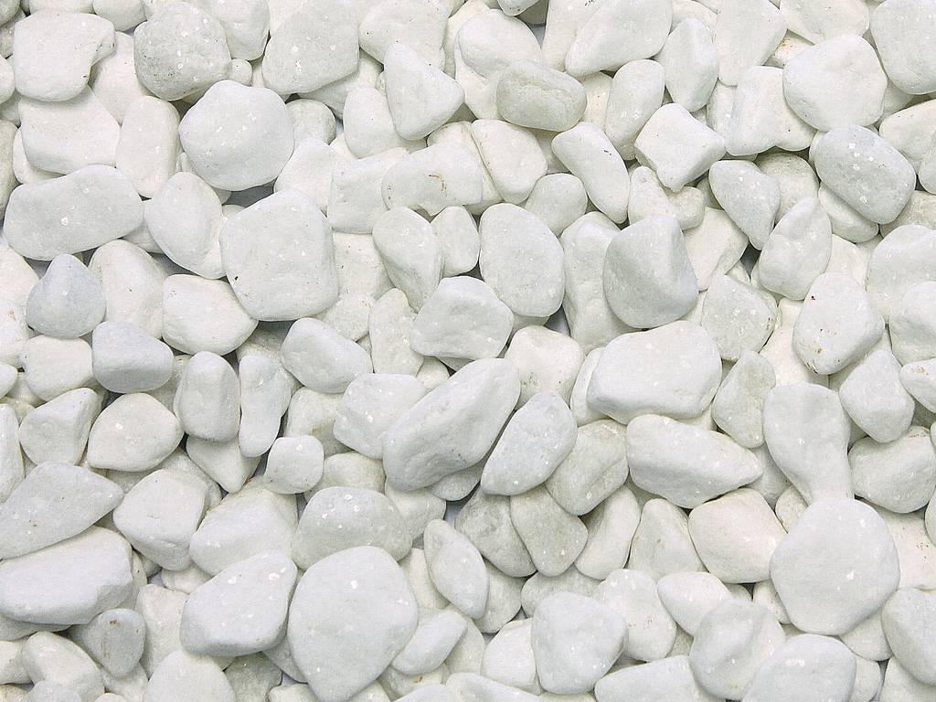 Polar White Kies